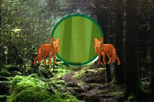 �ȳ�����ץ��Ů��