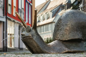 ������ţƴͼ