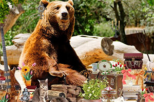 ����԰�Ĺ���Ա