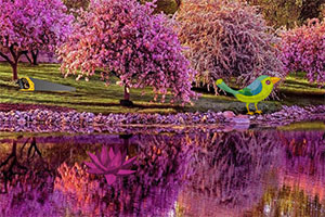 �ӳ���ɫ����