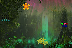 ��������ɭ��