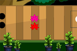 ���ȿ�����С��