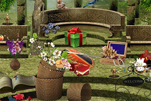 ɭ��̽��֮��