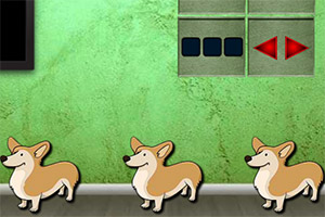 �ȳ��ܿ˵Ĺ�