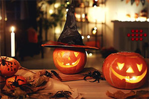 ��ʥҹ���������