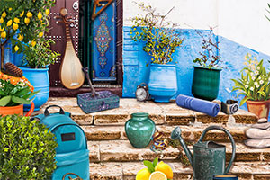 ����֮��