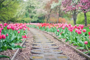 ��·����ƴͼ