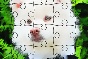 ��Ȥ��С����ƴͼ