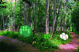 ��ɫɭ�ִ�����