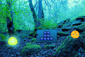 ��ɫˮ��ɭ������