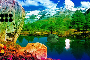 ���ܺ�����