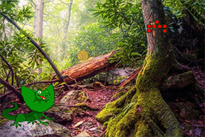 �������ص�����