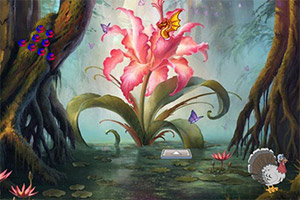 Ѱ�һ����׹