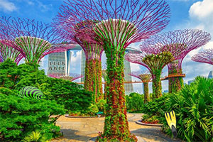 �¼��»�԰����