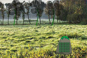 ��Ԯ�������