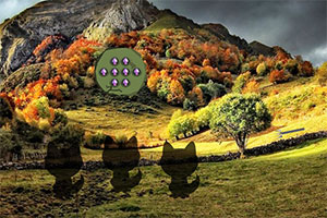 ���ֵ�����