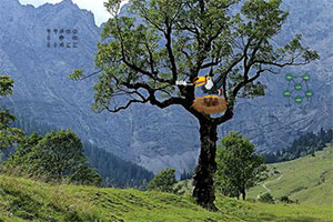 Ѱ����ѻ��