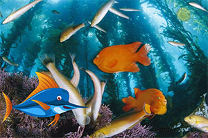 �����������