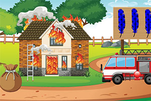 ����Ա����