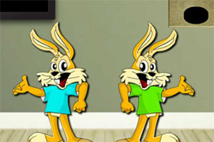 ��Ԯ����������