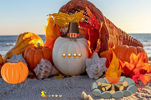 ��̲�ɶ�����