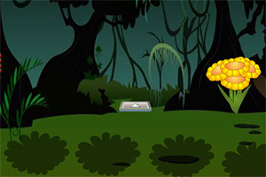 ��Ԯ��˯������