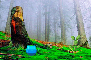 ɽ����������