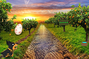 ��ɫС������