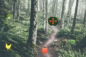 ��������ɭ��