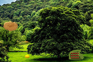 ����Σ�ն���Ⱥ