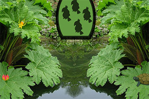 �����Ҷ����