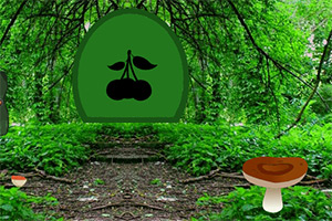 ����⻬�Ļ�԰