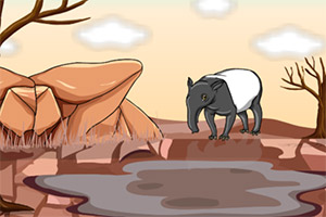 ��Ԯ�ڿʵĴ���