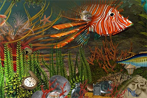 ���溣������