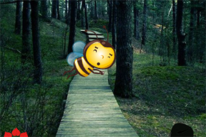 ����޴�䳲