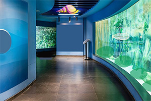 �������˺����