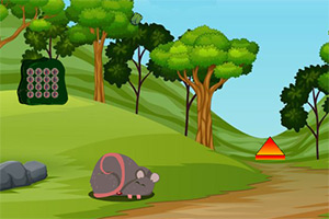 �ȳ���������