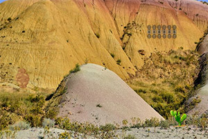 ������������