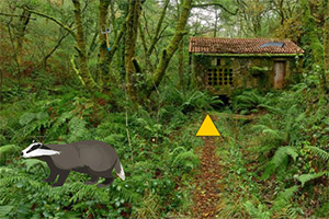 Ѱ����������