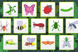 ����С������俨