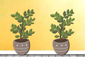 Ѱ�ҵ�����