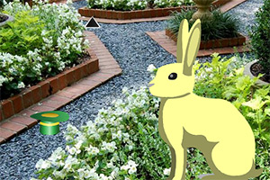 �ȳ�������