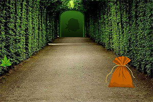 ���뾫Ҷɭ��