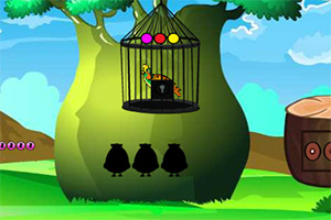 ��Ԯ��ɫ����