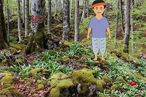 ����к�����