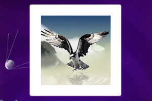 ������ѧ����