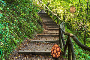 Ѱ�����Ľ�