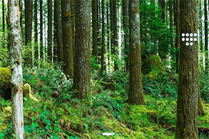 Ѱ����ʧ������