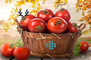 �ӳ�����ũ��