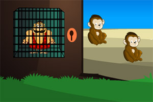 �ȳ���������